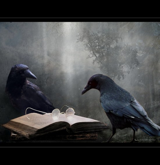 crows reading