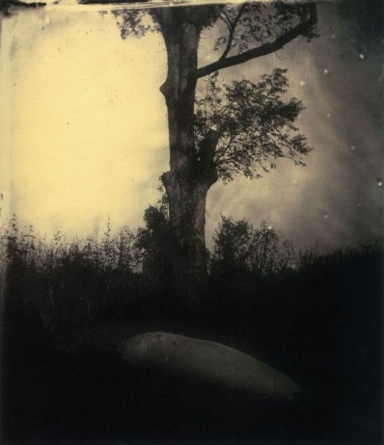 SallyMann